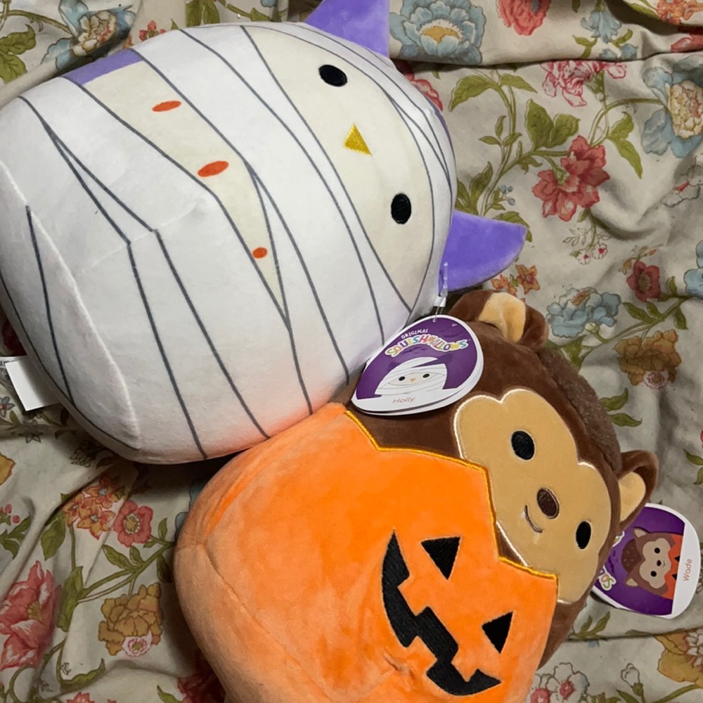 🖤🎃 Wade and Holly 8” New Squishmallows 🎃🖤